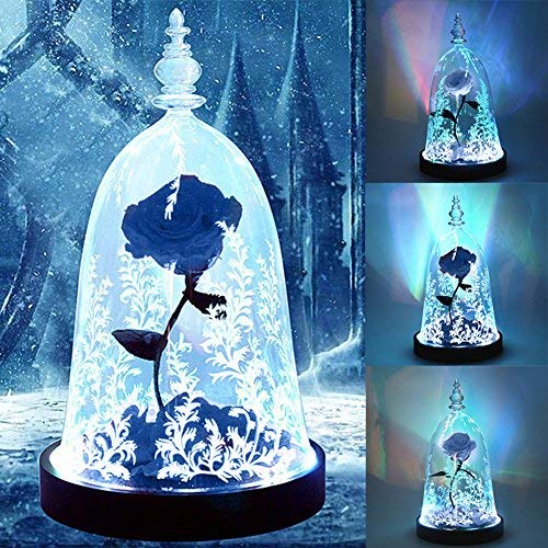 Preserved Fresh Rose Flower 100% Real Rose Enchanted Rose Gift Ideas for Valentine's Day, Anniversary, Birthday + box