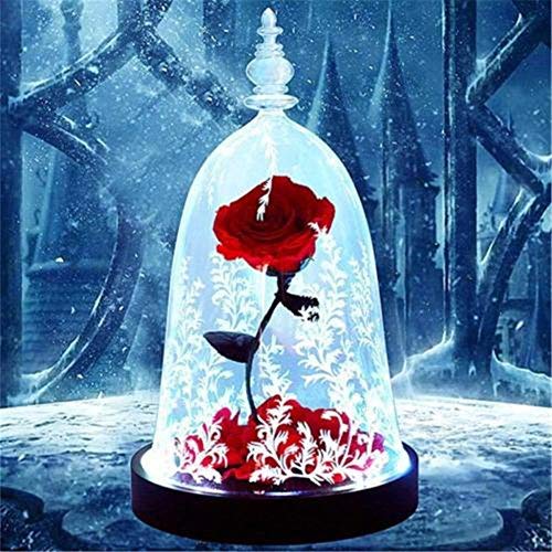 Preserved Fresh Rose Flower 100% Real Rose Enchanted Rose Gift Ideas for Valentine's Day, Anniversary, Birthday + box