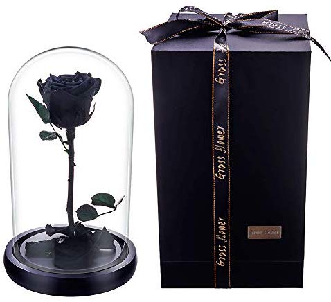Preserved Fresh Rose Flower 100% Real Rose Enchanted Rose Gift Ideas for Valentine's Day, Anniversary, Birthday + box