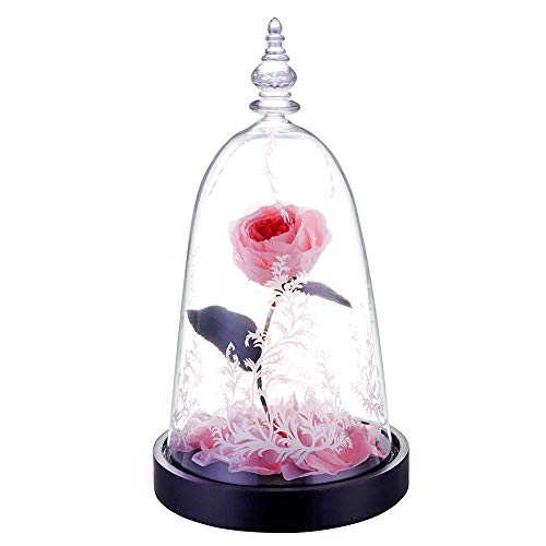 Preserved Fresh Rose Flower 100% Real Rose Enchanted Rose Gift Ideas for Valentine's Day, Anniversary, Birthday + box