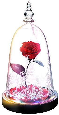 Preserved Fresh Rose Flower 100% Real Rose Enchanted Rose Gift Ideas for Valentine's Day, Anniversary, Birthday + box