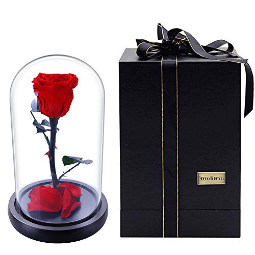 Preserved Fresh Rose Flower 100% Real Rose Enchanted Rose Gift Ideas for Valentine's Day, Anniversary, Birthday + box