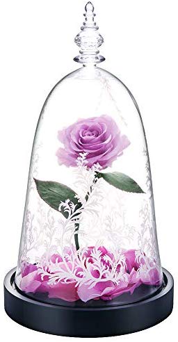 Preserved Fresh Rose Flower 100% Real Rose Enchanted Rose Gift Ideas for Valentine's Day, Anniversary, Birthday + box