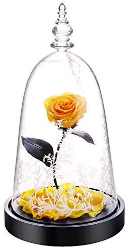 Preserved Fresh Rose Flower 100% Real Rose Enchanted Rose Gift Ideas for Valentine's Day, Anniversary, Birthday + box