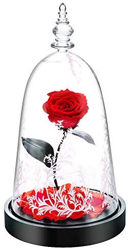 Preserved Fresh Rose Flower 100% Real Rose Enchanted Rose Gift Ideas for Valentine's Day, Anniversary, Birthday + box