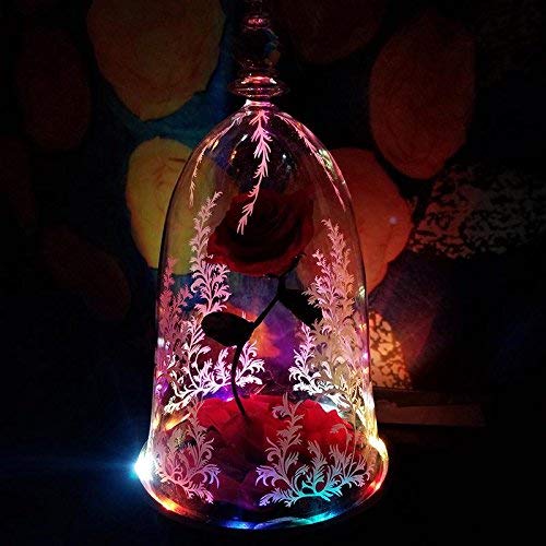 Preserved Fresh Rose Flower 100% Real Rose Enchanted Rose Gift Ideas for Valentine's Day, Anniversary, Birthday + box