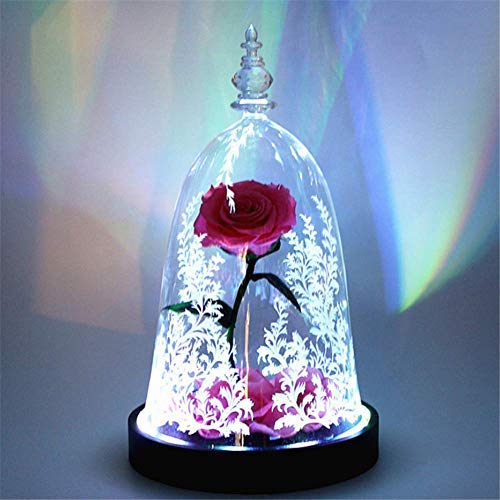 Preserved Fresh Rose Flower 100% Real Rose Enchanted Rose Gift Ideas for Valentine's Day, Anniversary, Birthday + box