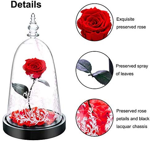 Preserved Fresh Rose Flower 100% Real Rose Enchanted Rose Gift Ideas for Valentine's Day, Anniversary, Birthday + box