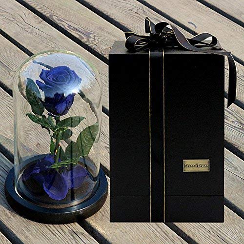 Preserved Fresh Rose Flower 100% Real Rose Enchanted Rose Gift Ideas for Valentine's Day, Anniversary, Birthday + box