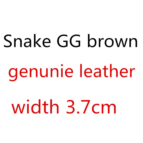 Luxury Brand Snake Double G Belt High Quality Classic GG Buckle Real Genuine Leather Men Women Belt Box